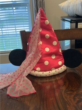 Disney Parks Hat